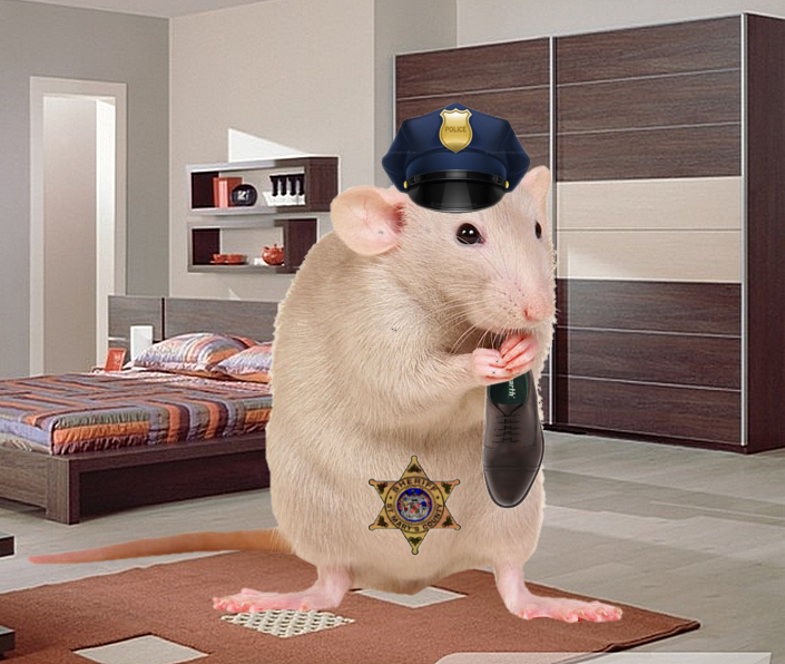 Тихо, как семидесятикилограммовая полицейская мышь, я сновала по гостиной, ...